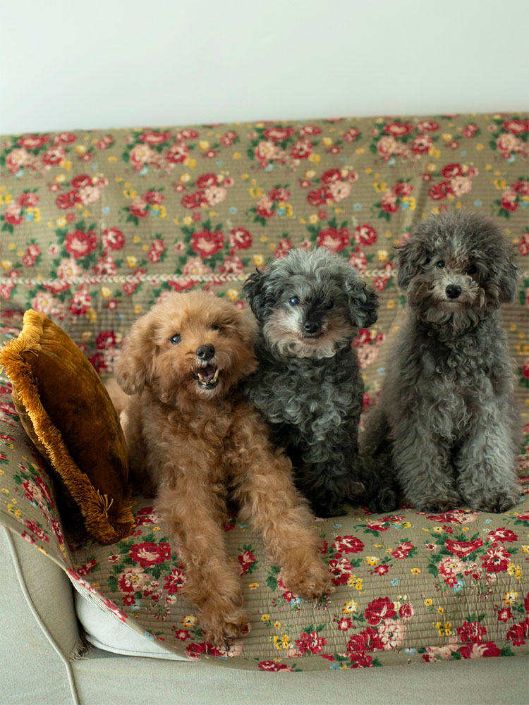 Antique Flower Indian Quilt Series